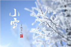 科技紫微：十二生肖小雪的宜忌与开运